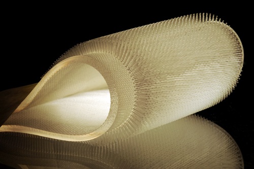 MIT’s New Wetsuit Design Inspired by the Pelt of the Busy Beaver