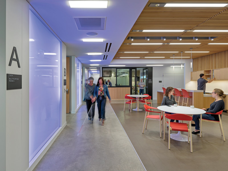 Access all areas: designing spaces and places for diverse sensory needs