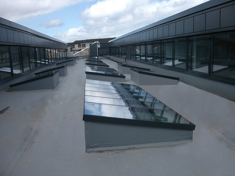 Mono Vision Rooflights