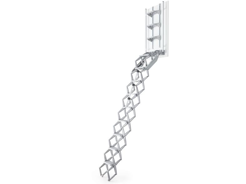 The Elite ladder with a special backboard