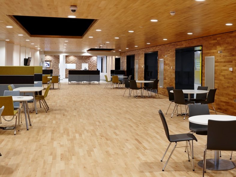 Beech 2 strip Board Hardwood Flooring