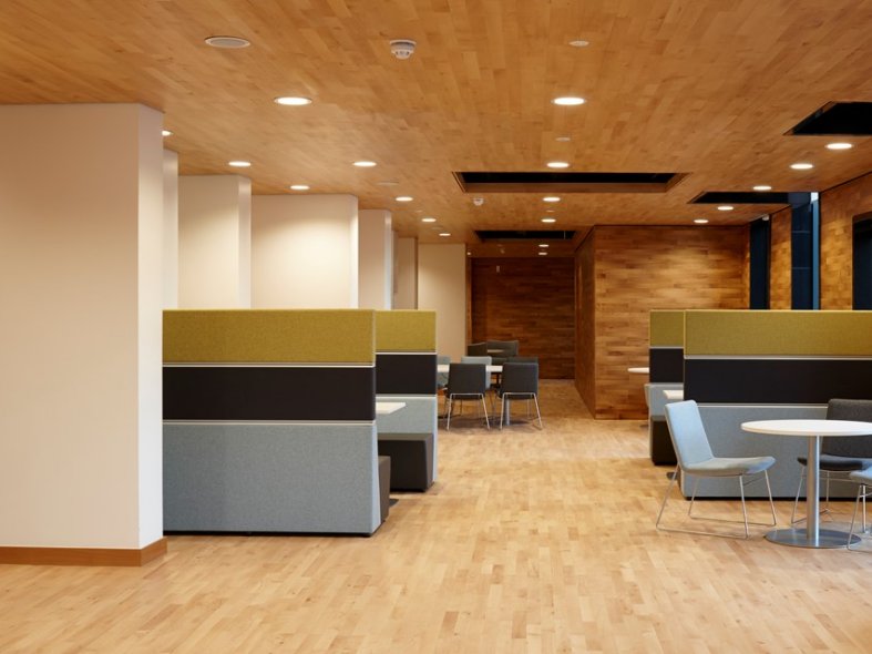 Beech SylvaKet 2 strip Board Hardwood Flooring