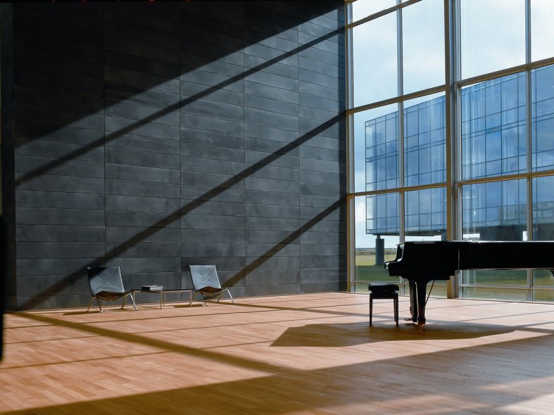 Ash 2 strip Board Hardwood Flooring