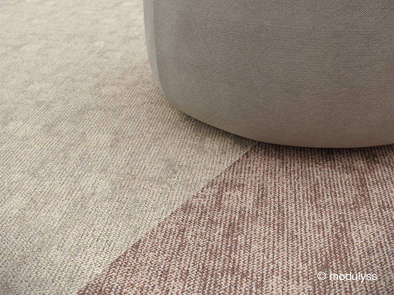 Modus collection - Trace