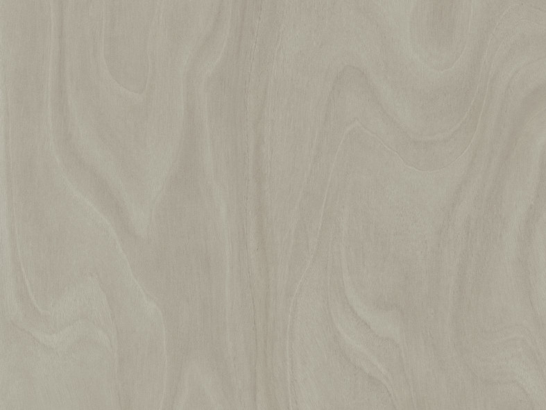 P81 Leonardo Grey.Leonardo