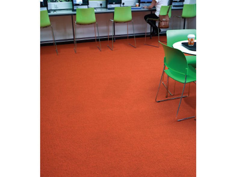 Carpet Cleaning & Maintenance Guide