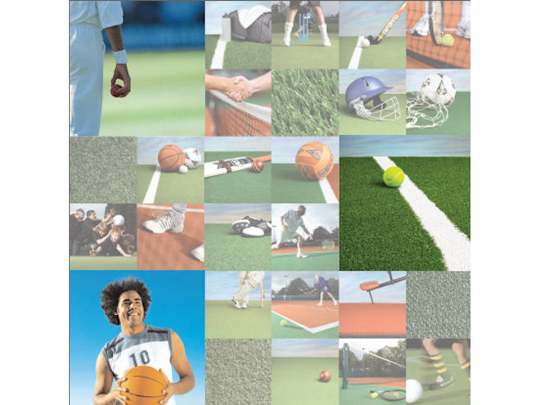 Champion 24 PP Artificial Hockey Surfacing