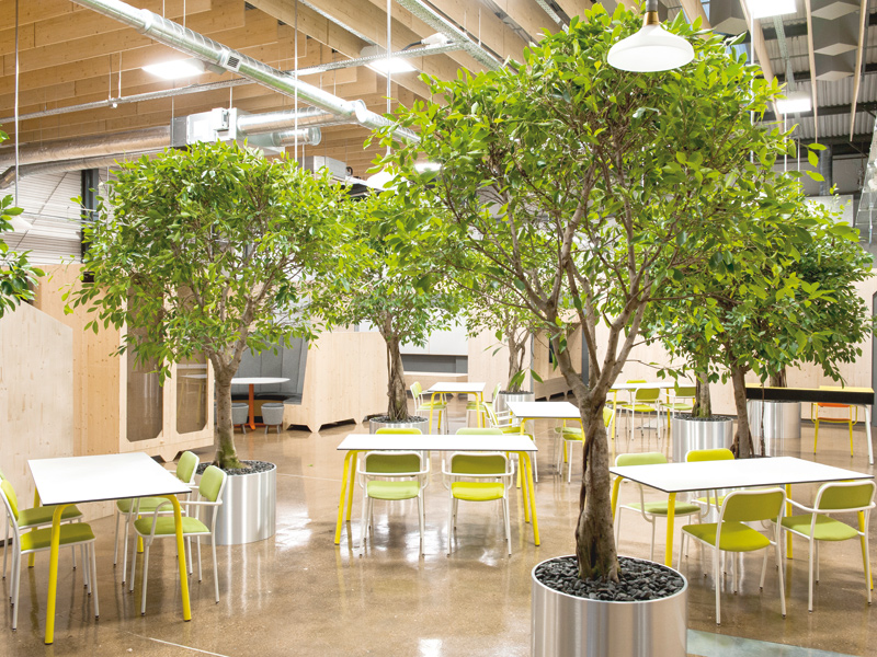 Aspire training centre, Slough, Berkshire, from Manalo & White