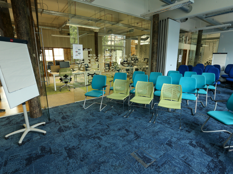 FRIENDS OF THE EARTH: CREATING A POSITIVE WORKPLACE TO PROTECT THE PLANET