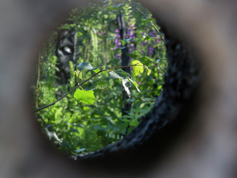 Inspiring installations at RHS Chatsworth Flower Show 2017